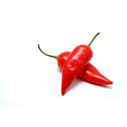 PIMENT JALAPENO ROUGE 2KG